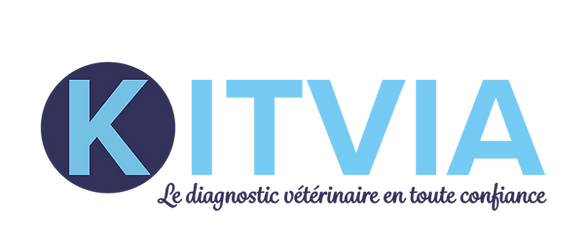 Kitvia